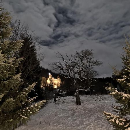 Bran 99 Villa Екстериор снимка