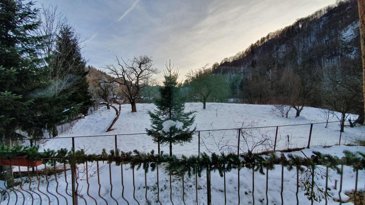 Bran 99 Villa Екстериор снимка