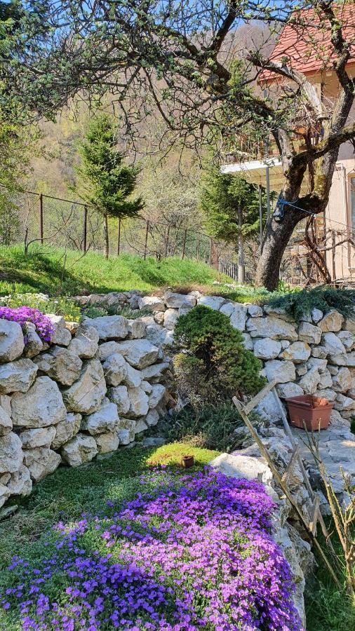 Bran 99 Villa Екстериор снимка