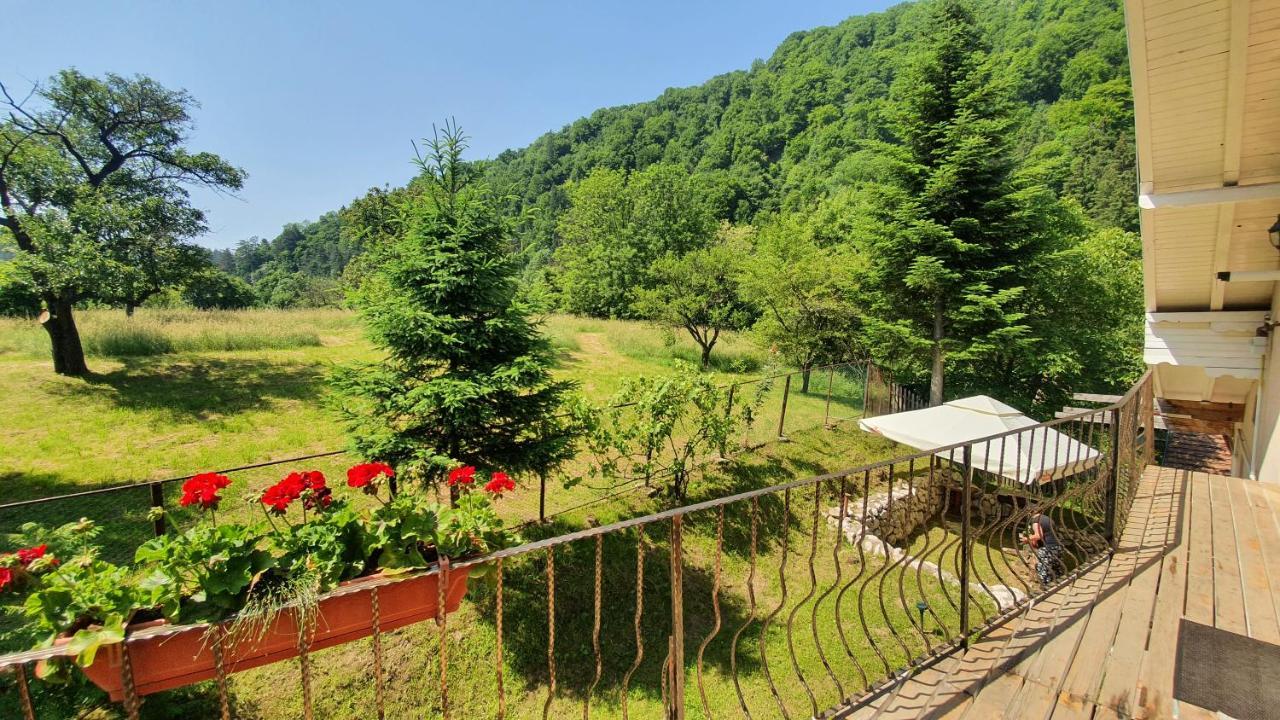 Bran 99 Villa Екстериор снимка